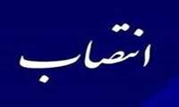 مشاور وزیر جهاد کشاورزی در امور جوانان ‌و نخبگان منصوب شد
