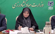 ثریا نوید