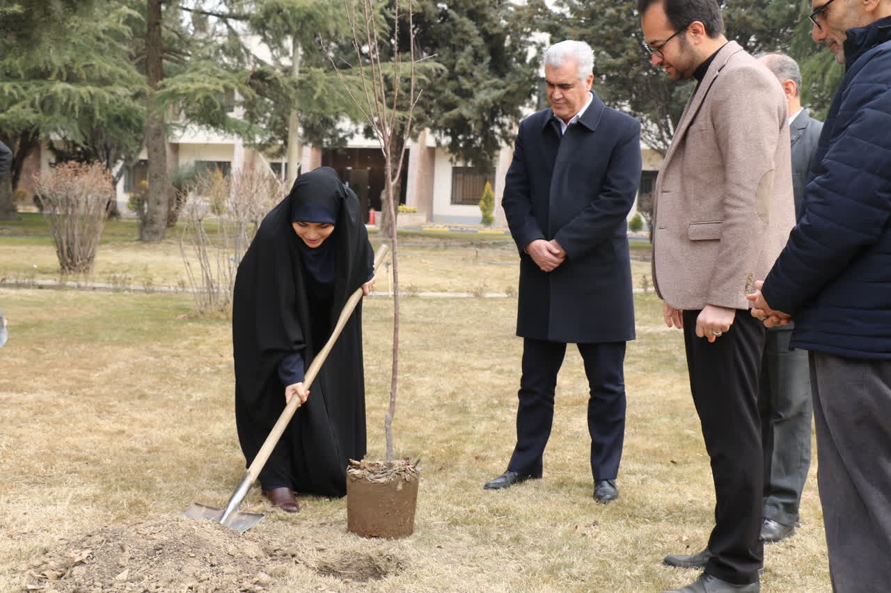 کاشت نهال با حضور مشاور محترم وزیر در شرکت آب و خاک